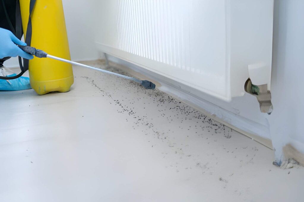 Pest control
